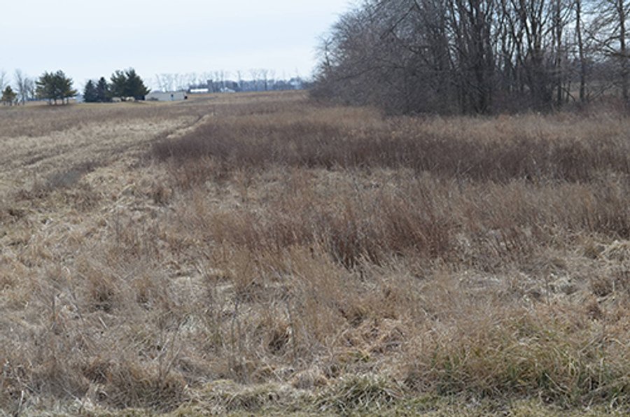 20+/- Acres Wooded & 24+/- Acres Grassland, LAND AUCTION